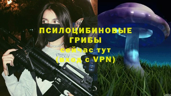 a pvp Бугульма